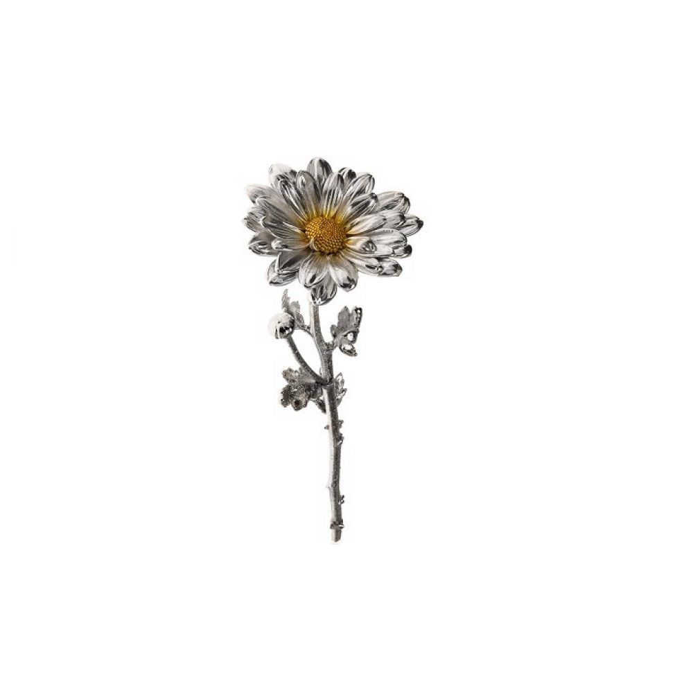 Margherita Naturale Rivestita in Argento - immagine 3