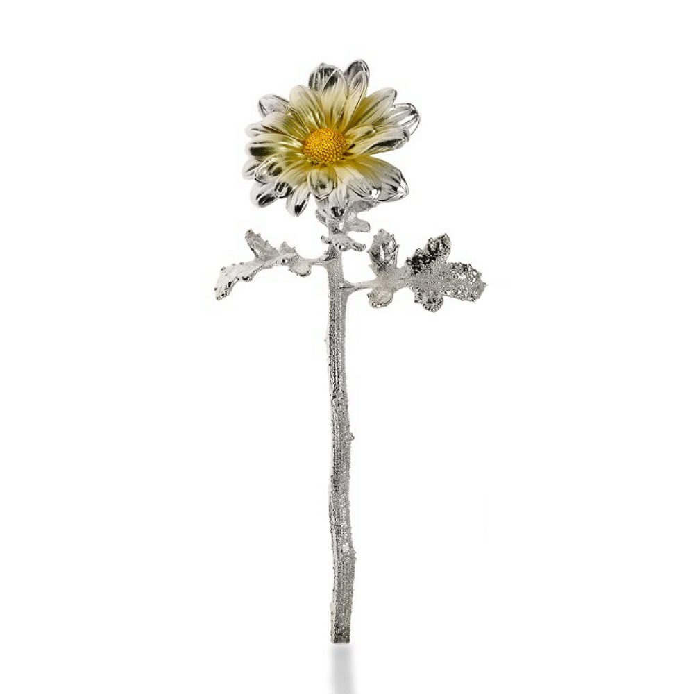 Margherita Naturale Rivestita in Argento - immagine 4